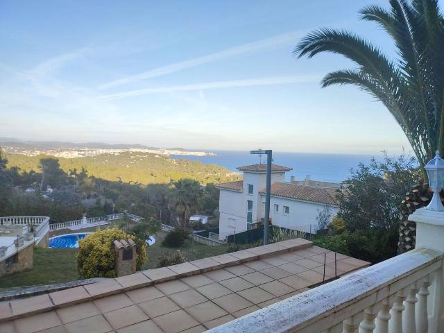 Casa chalet en Venta en Los Pinos Politur