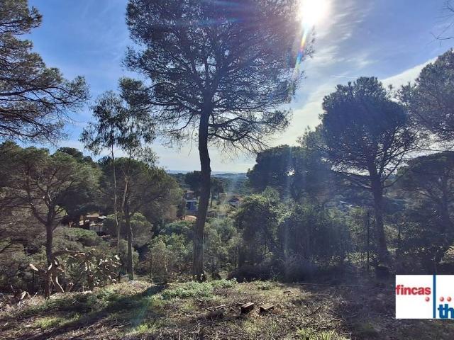 Casa chalet en Venta en Lloret Verd Els Pinars