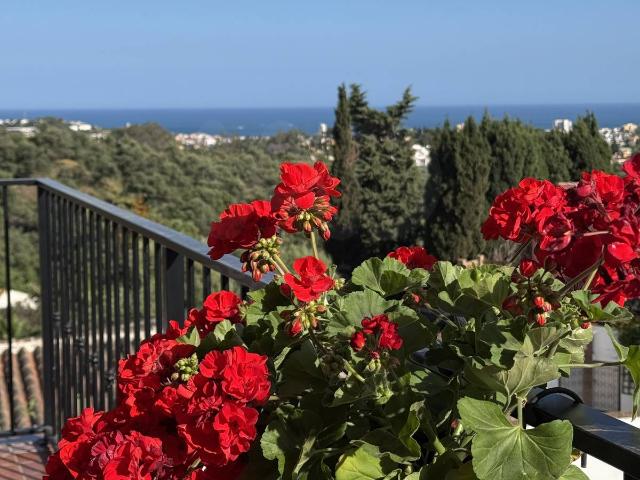 Casa chalet en Venta en Mijas pueblo