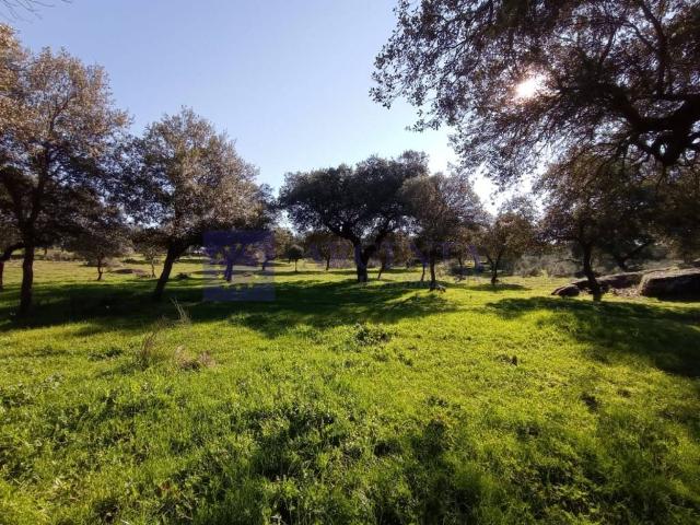 Casa chalet en Venta en Navalmoral de la Mata