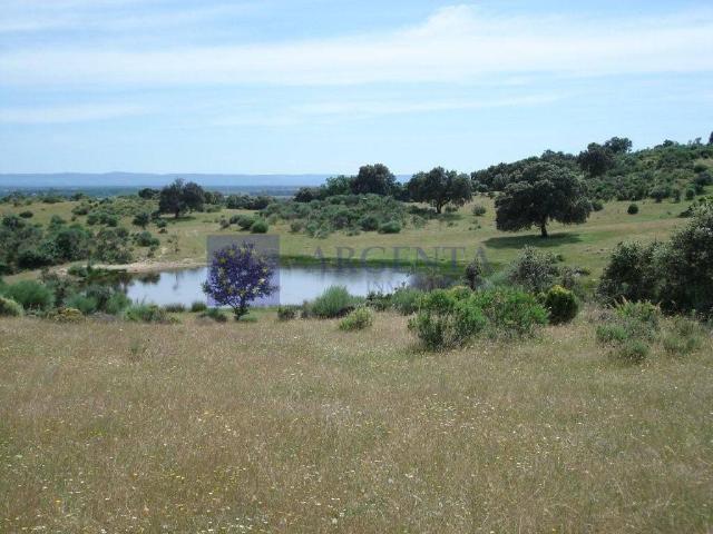 Casa chalet en Venta en Navalmoral de la Mata