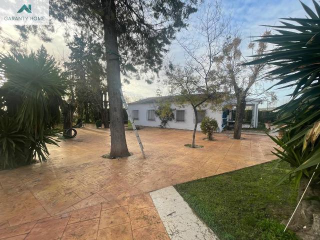 Casa chalet en Venta en Navas del Sepillar