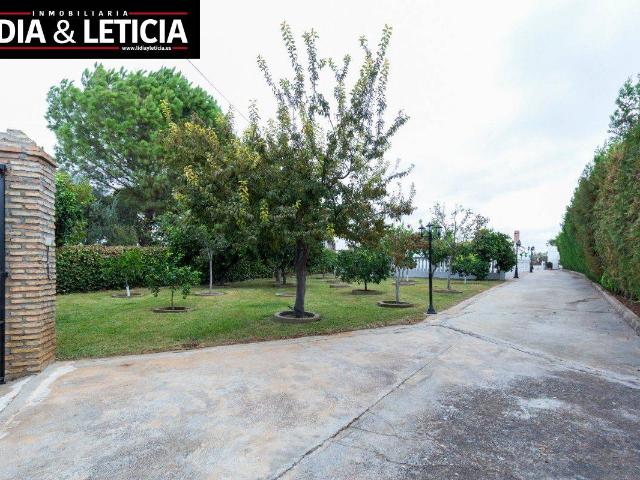 Casa chalet en Venta en Nueva Alcalá