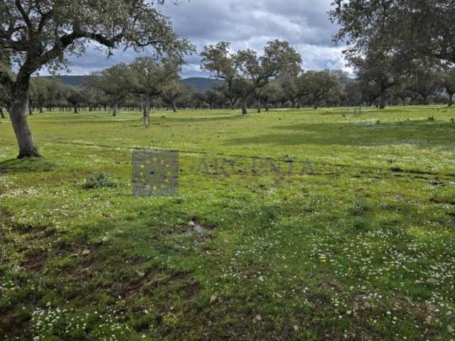Casa chalet en Venta en Oeste
