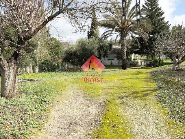 Casa chalet en Venta en Partidas Norte