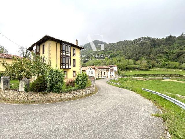 Casa chalet en Venta en Peñamellera Baja