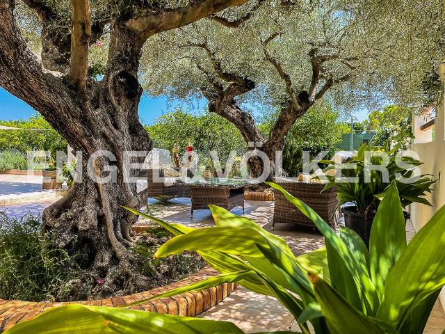 Casa chalet en Venta en Playa Ben Afeli