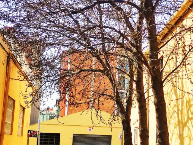 Casa chalet en Venta en Plana Lledó