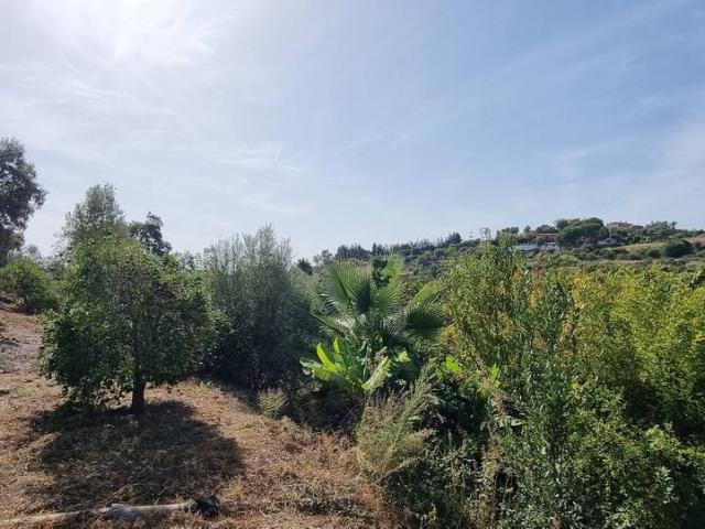 Casa chalet en Venta en Rojales