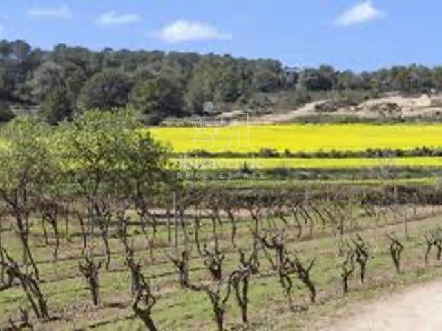 Casa chalet en Venta en Sant Joan de Labritja