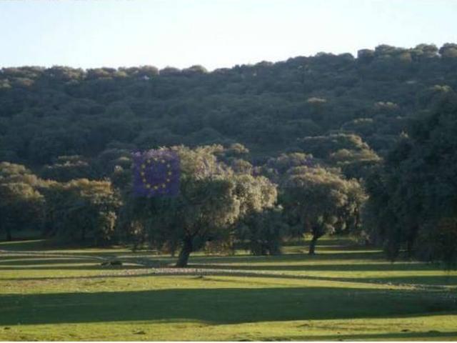 Casa chalet en Venta en Salorino