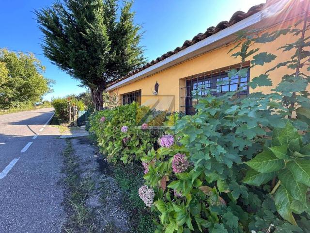 Casa chalet en Venta en Selorio Tornón