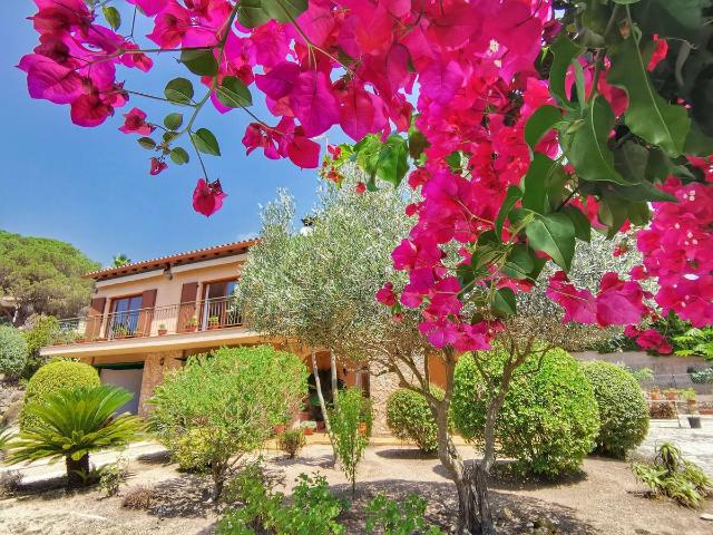 Casa chalet en Venta en Serra Brava