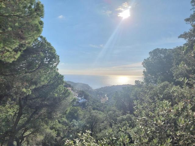 Casa chalet en Venta en Serra Brava