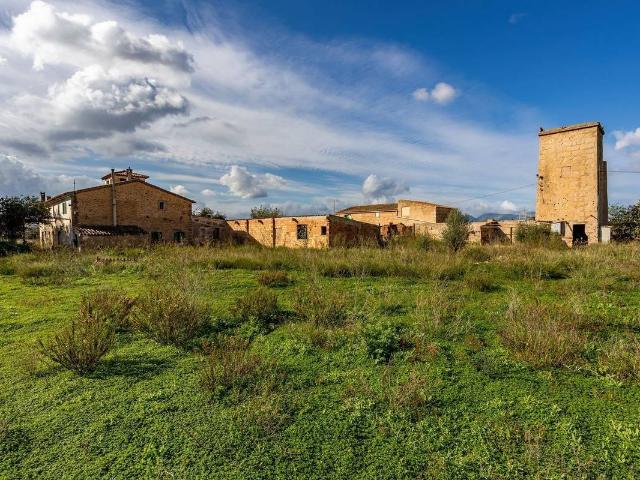 Casa chalet en Venta en Son Ferriol
