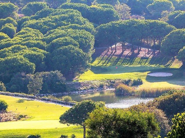 Casa chalet en Venta en Sotogrande Alto