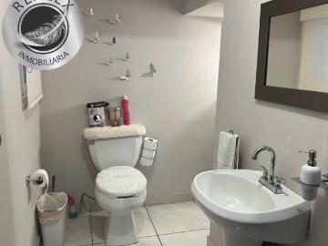 Casa Chihuahua