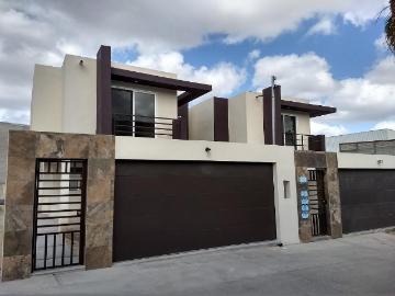 Casa Chihuahua