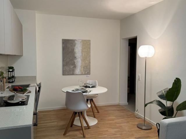 Casa Cinque comfort moderno nel cuore di Locarno