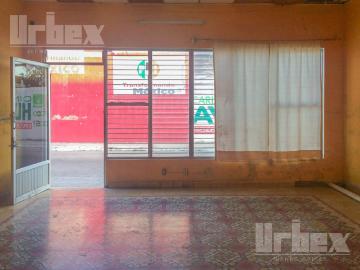 CASA COLONIAL EN VENTA EN EL CORAZ?N DE PALIZADA, CAMPECHE