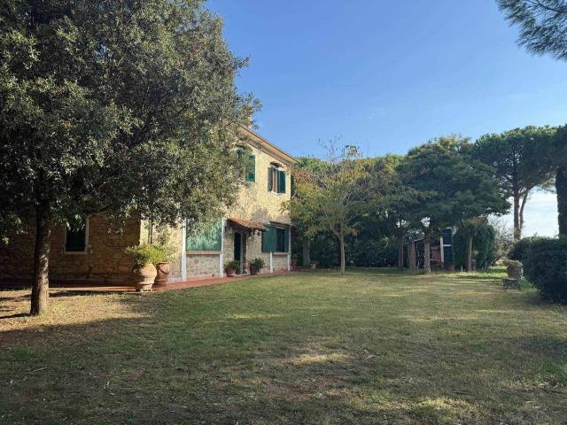 Casa colonica in vendita a Rosignano Marittimo