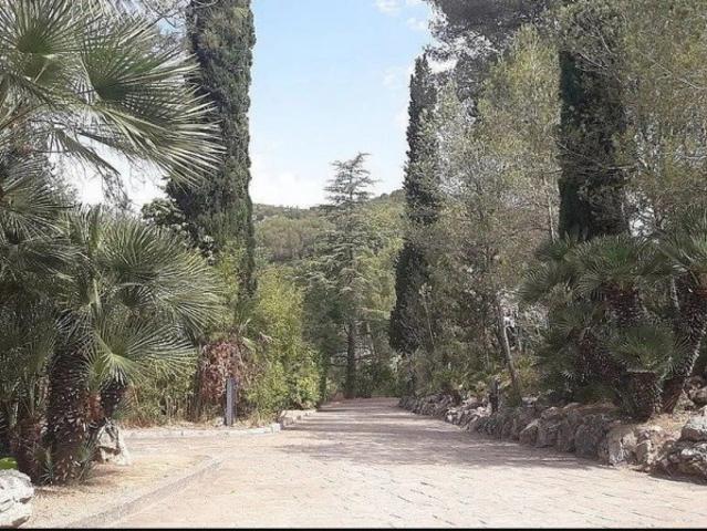 Casa con terreno en venta en Olivella, Mas Mestre