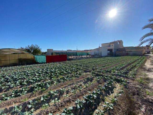 Casa con terreno en venta en Orihuela, El Escorratel