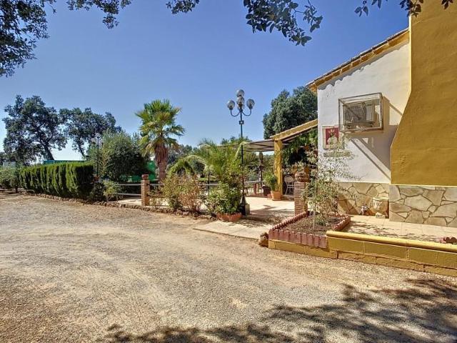 Casa con terreno en venta en Adamuz, Andalucia