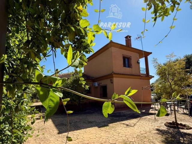 Casa con terreno en venta en Almodóvar del Río, Cuevas bajas