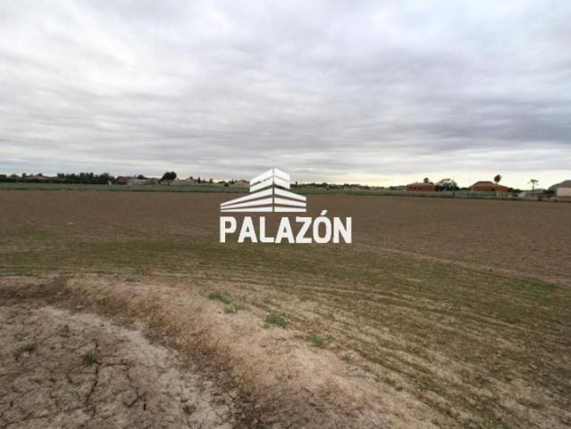Casa con terreno en venta en Catral