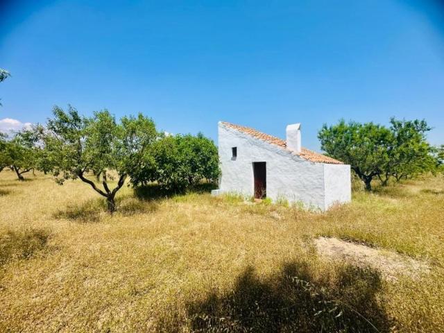 Casa con terreno en venta en Godall, Cataluña