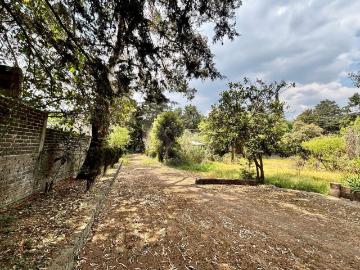Casa con terreno en Venta en San Francisco Tlalnepantla, Xochimilco