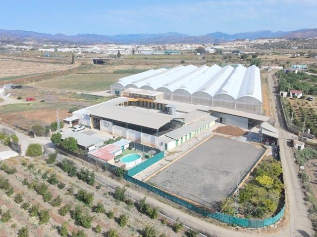 Casa con terreno en venta en Torre del Mar
