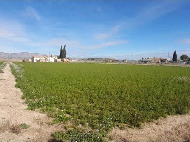 CASA CON TERRENO PARA REFORMAR EN LA HUERTA DE CALLOSA DE SEGURA!