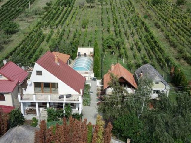 Casa con annessi piscina e vigneto a Vinica Slovacchia