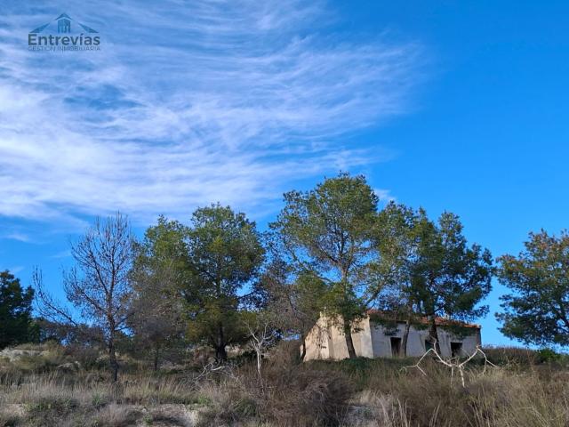 Casa con Finca Venta Murcia