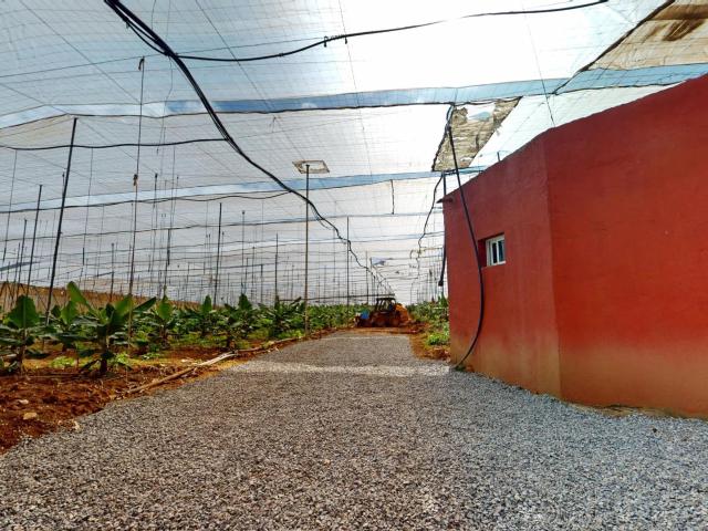 CASA CON FINCA PLATANERA EN PRODUCCIÓN · COSTA NORTE DE GRAN CANARIA