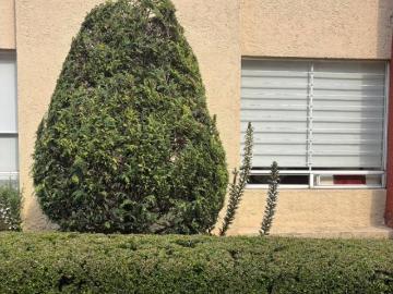 Casa con jardín independiente