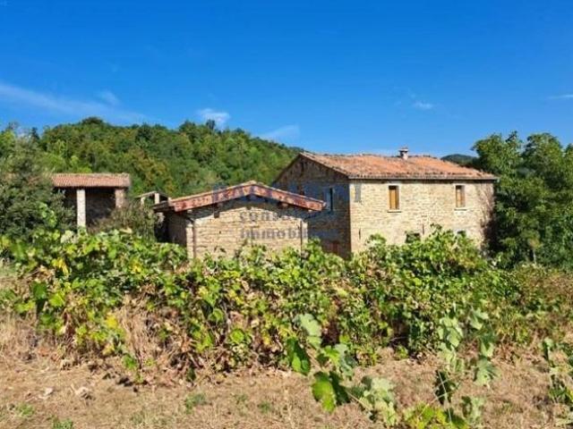CASA CON SERVIZI CASOLA VALSENIO VIA FIOREDOLA 2