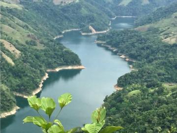 Finca En Venta En Norcasia En Vereda Los Pomos V222783