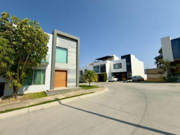 Casa Coto Maples