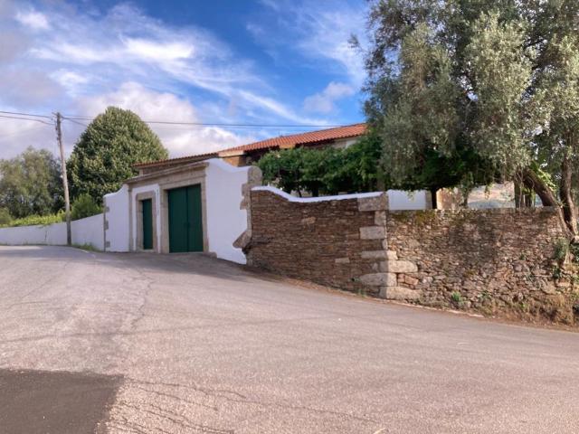 Casa da Raiz