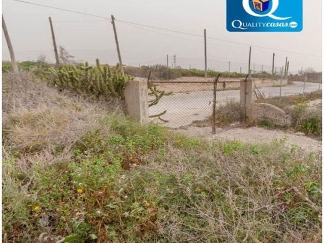 Casa de campo Masía en Venta en Alicante Alicante Ref: 18458