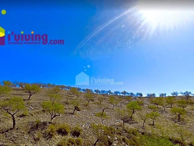 Casa de campo Masía en Venta en Huercal Overa Almería