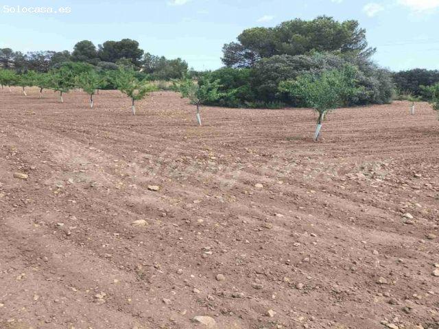 Casa de campo Masía en Venta en Jumilla Murcia