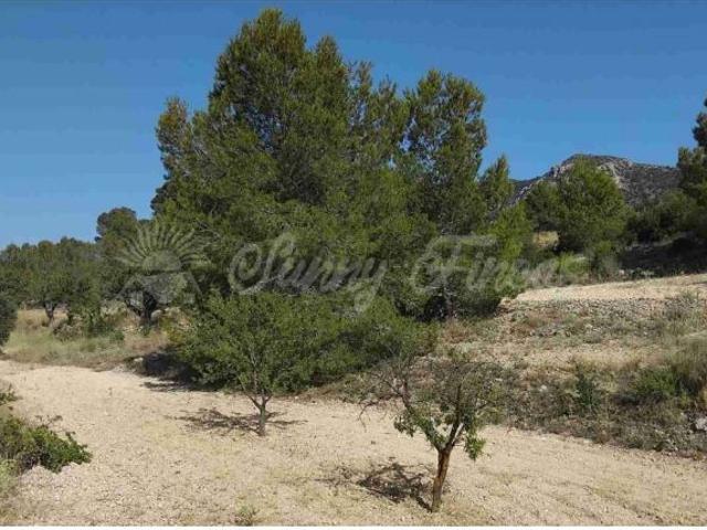 Casa de campo Masía en Venta en Romana, La Alicante