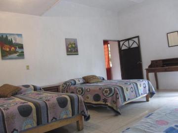 Casa de Campo Alberca Caliente