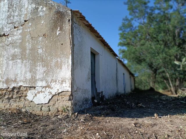 Casa de Campo com 11 755m2 de terreno em Frazo, Coruche
