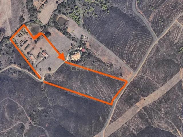 Casa de campo com 3 hectares