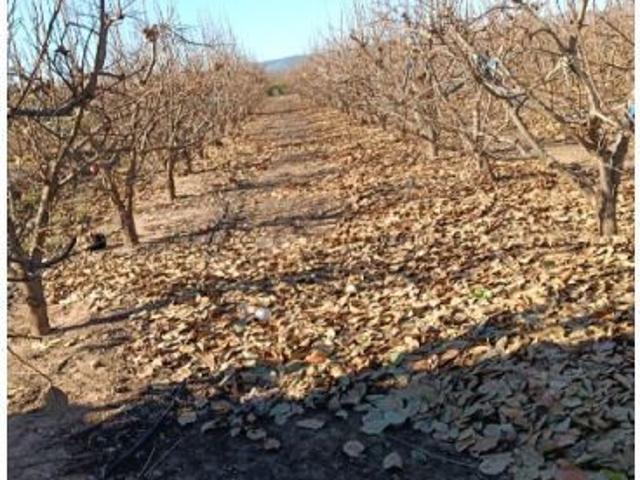 Casa de campo con terreno en venta en l Alcúdia